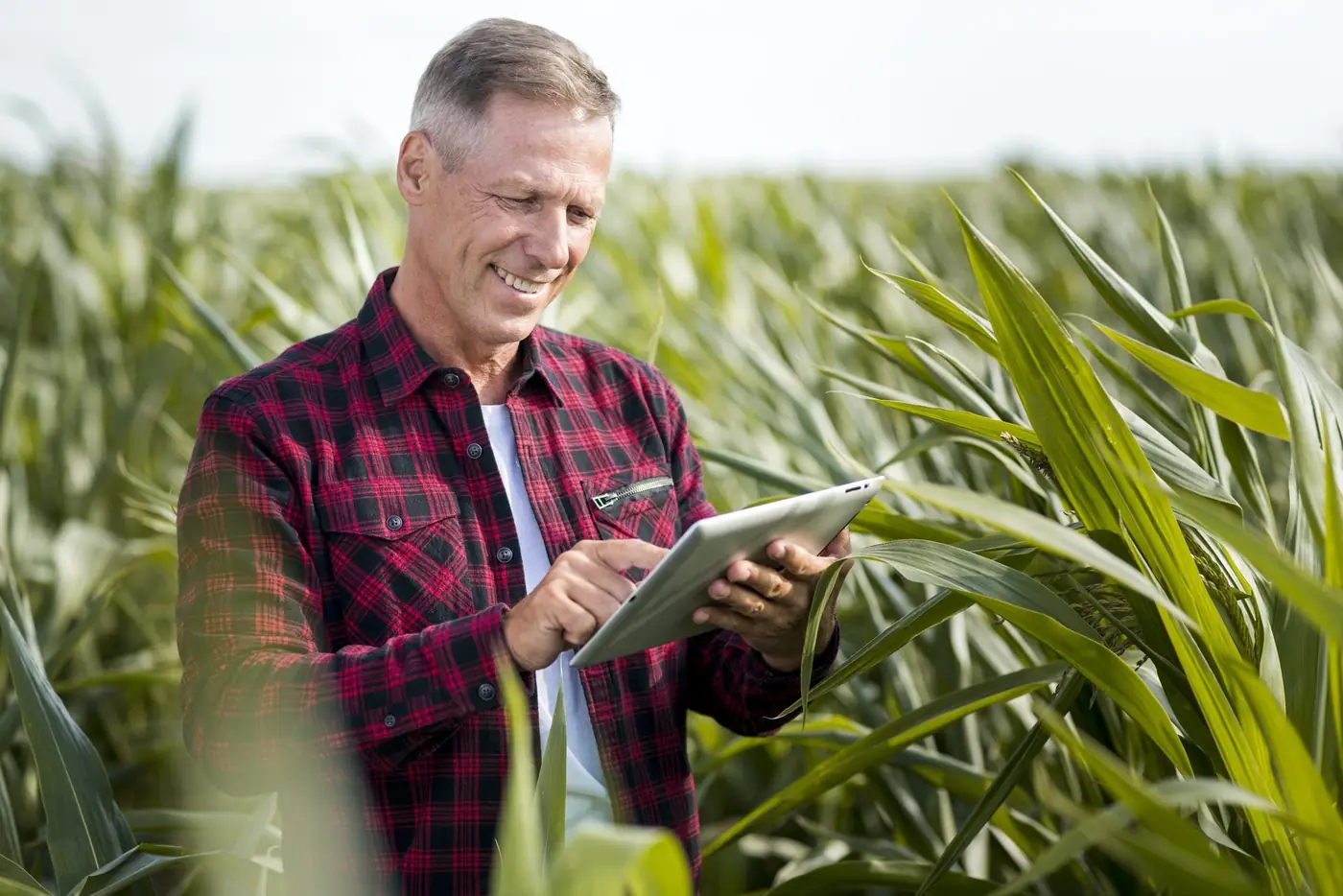 Produtor rural analisando o limite de isenção de IBS e CBS no campo - Grik Contabilidade