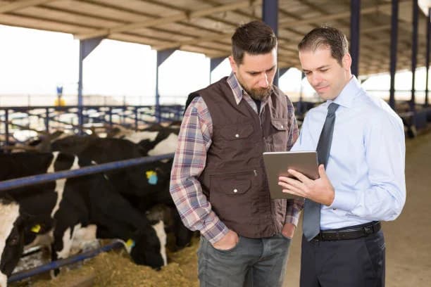 Empresário e produtor rural em fazenda - Contabilidade para Cooperativas